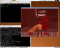 Chocolate-doom-linux.png